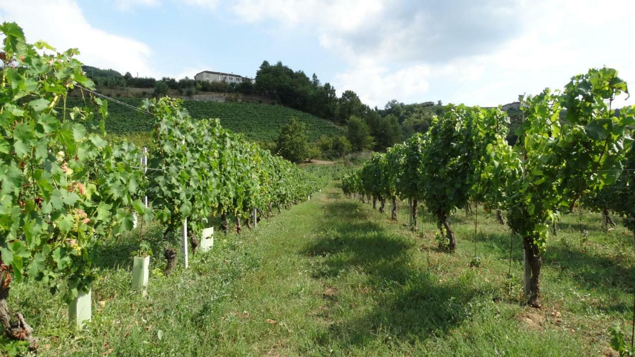 Corte Di Langa Cossano Belbo